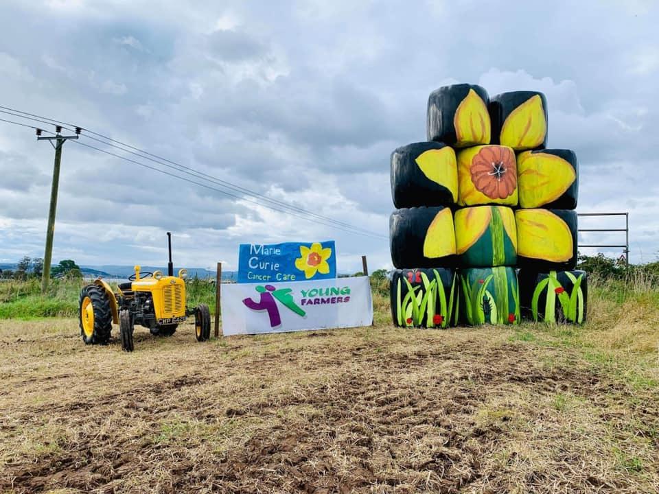 Making Hay Loch Lomond Young Farmers Raise Support With Incredi Bale Art Dumbarton And Vale Of Leven Reporter